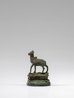 Lot 21 - YOUNG NANDI